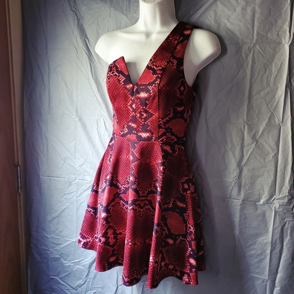 NBD x Naven Twins Flirty Fit & Flare Dress - Picture 5 of 10